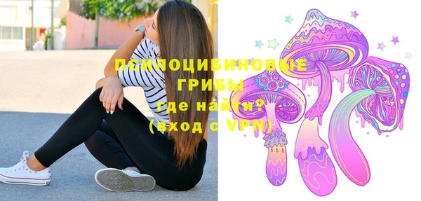 дмт Алзамай
