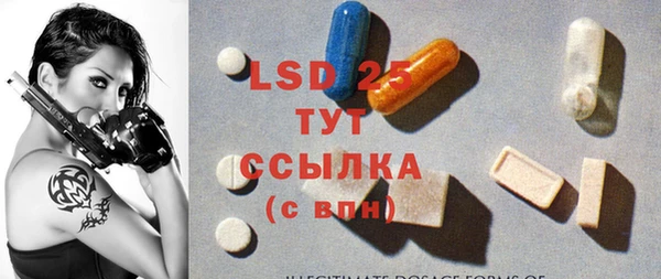 дмт Алзамай