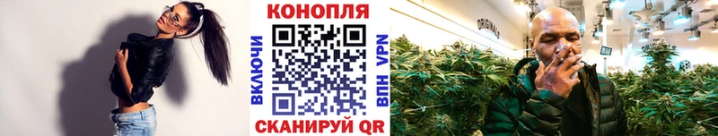 Канабис семена  Кирсанов 
